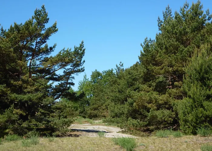 아파트 Palangos Apartamentai - Bangu