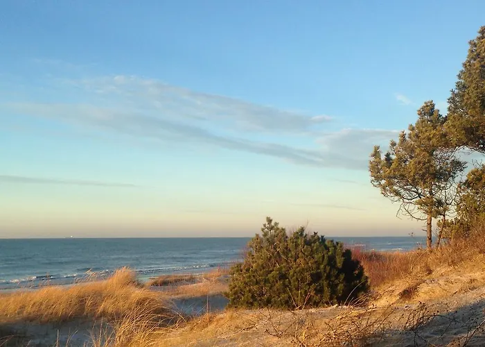 아파트 Palangos Apartamentai - Bangu 팔랑가